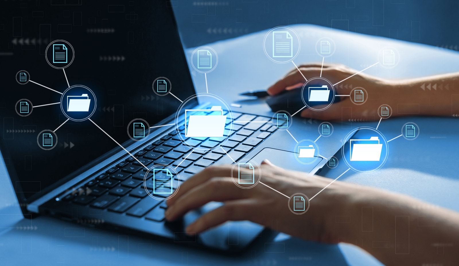 background checks sunshine coast